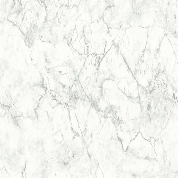 Papper Väggdekoration Marmorutseende Eleonora M1-No.166 Nonwoven Tapet Vit Grå