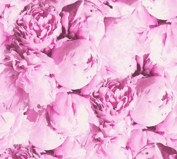 M1-No.1638 Non-vävt tapet Rosa Blommor Florala Rosor
