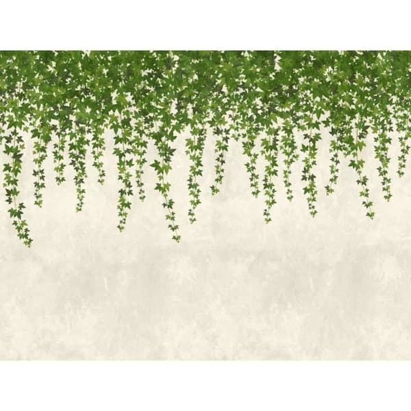 Fototapet Leaves M1-No.10271 - Tadessi - Digitaltryck - Grön - Grå - Modern - Vinblad