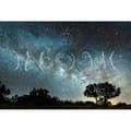 Miniatyrbild 1 av 3: Sky Photo Wallpaper M1-No.60198 - Tadessi - Digitaltryck - Blå - Vit - Måne - Skog