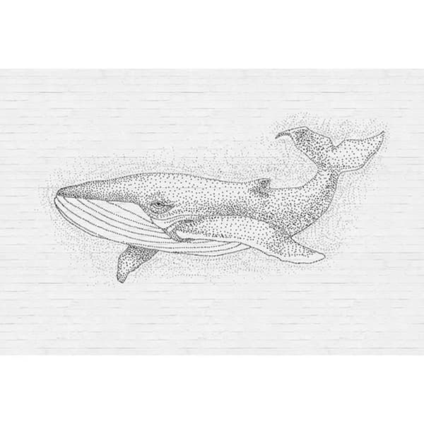 Djurfototapet M1-No.60699 - Tadessi - Digitaltryck - Vit - Svart - Stenimitation