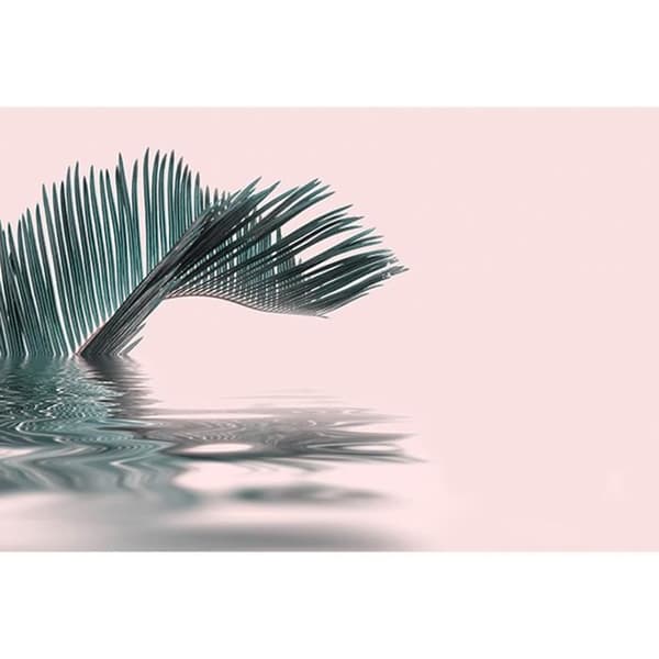 Palmträd Fototapet M1-No.61017 - Tadessi - Digitaltryck - Rosa - Grön - Natur