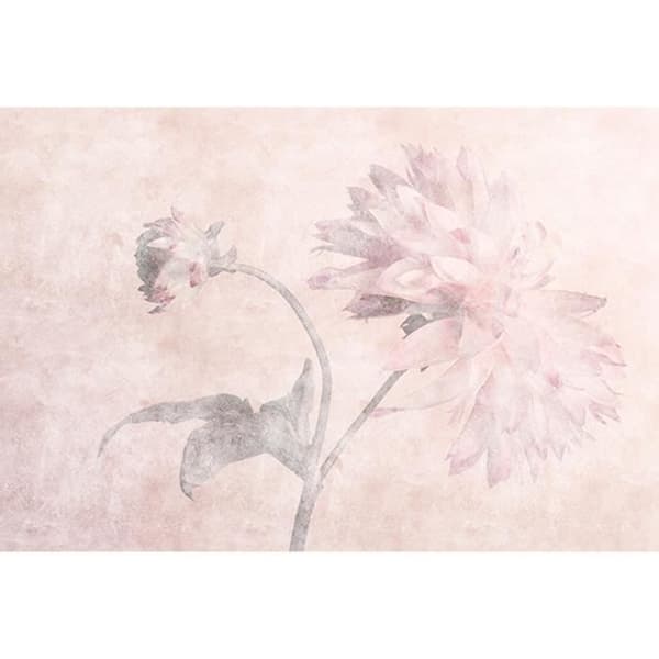 Fototapet Blommor M1-No.61278 - Tadessi - Digitaltryck - Rosa - Grå