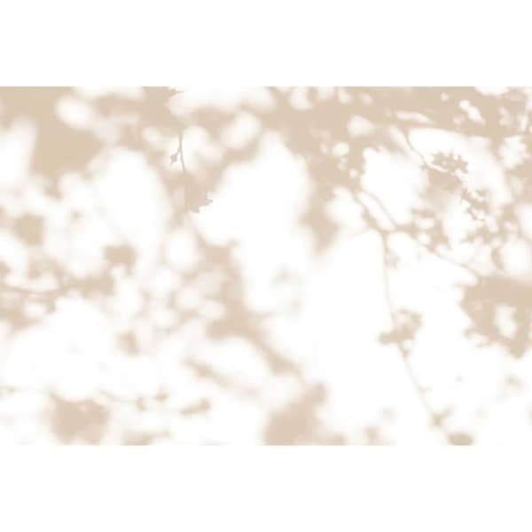 Fototapet Blommor M1-No.61189 - Tadessi - Digitaltryck - Beige - Vit - Natur