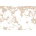 Miniatyrbild 1 av 3: Fototapet Blommor M1-No.61189 - Tadessi - Digitaltryck - Beige - Vit - Natur