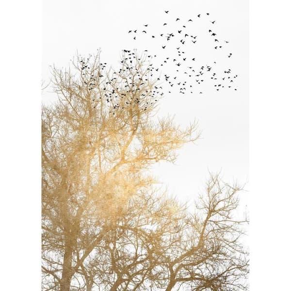 Träd Fototapet M1-No.61045 - Tadessi - Digitaltryck - Guld - Vit - Fåglar - Skog