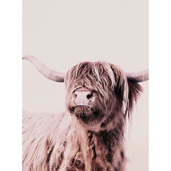 Djurfototapet M1-No.61026 - Tadessi - Digitaltryck - Beige - Krämfärgad - Natur