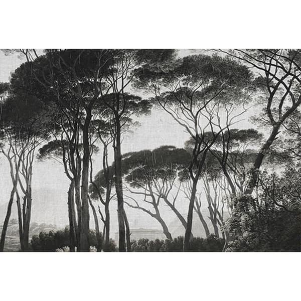 Tapet Skog M1-No.60313 Digitaltryck Grå Svart Natur Målning