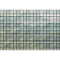 Miniatyrbild 1 av 3: Panoramafototapet M1-No.61200 - Tadessi - Digitaltryck - Grön - Grå - Palmer - Natur