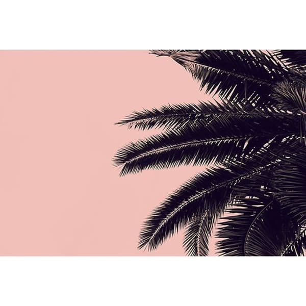 Palmträd Fototapet M1-No.61040 - Tadessi - Digitaltryck - Rosa - Svart - Natur
