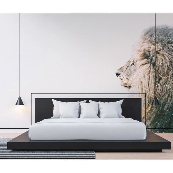 Fototapet lejon M1-No.61021 digitaltryck vit beige djur natur