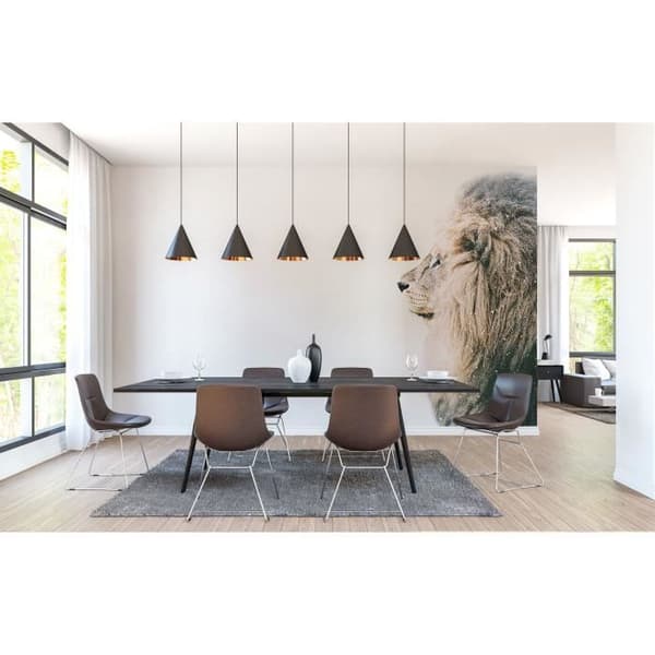 Fototapet lejon M1-No.61021 digitaltryck vit beige djur natur