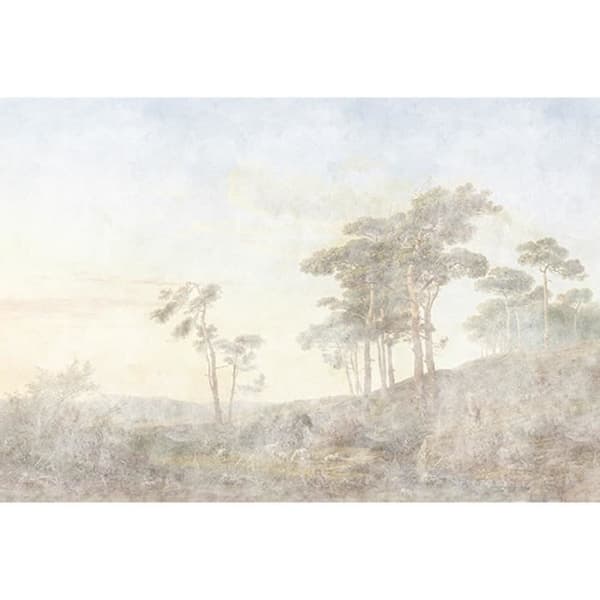 Skogsfototapet M1-No.61171 - Tadessi - Digitaltryck - Beige - Grå - Natur - Landskap