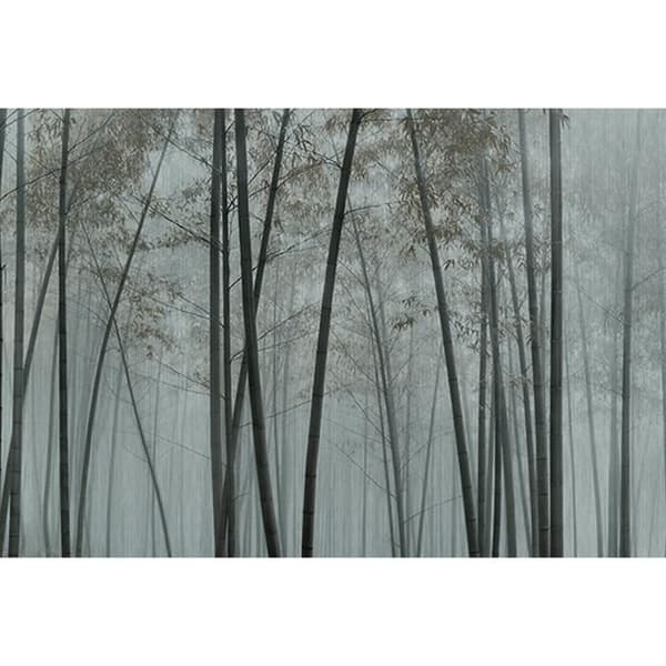 Bambupapper M1-No.61205 Digitaltryck Grå Svart Dschungel Tropisk Skog