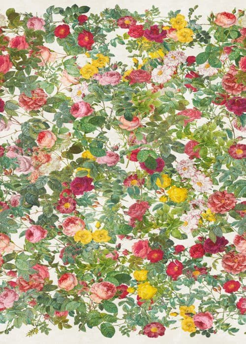 A.S. Creation Tapeter foto The Wall III 398641 Ett mönster per rulle Blommor Floral Grön Rosa