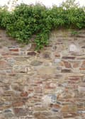 Miniatyrbild 4 av 4: Panoramic The Wall 2 - AS-392471