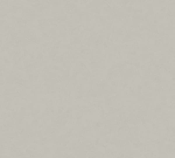 Tapet - A.S. CREATION - SP15463 - Beige - Målningseffekt - Tvättbar och borstande