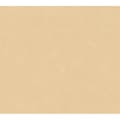 Miniatyrbild 4 av 4: Enfärgad tapet M1-No.1100 | Fiberpapper | Beige | Unicolor
