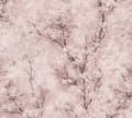 Miniatyrbild 1 av 6: A.S. Creation Nya Väggar 374204 non-woven tapet natur 0.53 m x 10.05 m rosa