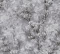 Miniatyrbild 1 av 5: A.S. Creation New Walls 374201 non-woven tapet natur 0.53 m x 10.05 m vit