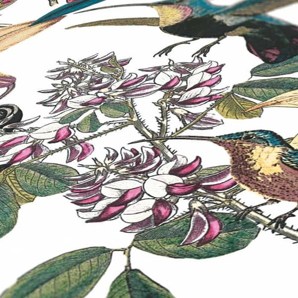 Papper Tapet Djur Adriano M1-No.528 Färgglad Grön Blommig Tapet Kolibri