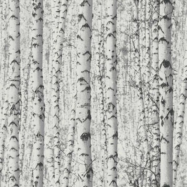 Tapetblad Ginevra M1-No.3554 Vit Björkskog Natur