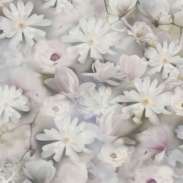 Tapet Blommor M1-No.3562 Non-woven tapet Vit Grön Blommig Natur