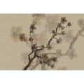 Miniatyrbild 1 av 3: Tapet körsbärsblommor M1-No.60969 Digitaltryck Beige Brun Blommor