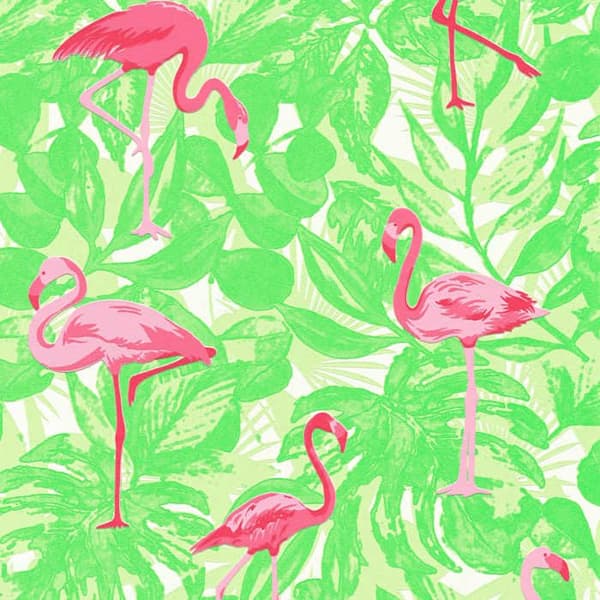 Tapet Djur Diego M1-No.2616 Rosa Grön Flamingo Natur