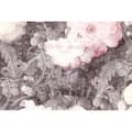 Miniatyrbild 1 av 3: Tapet blommor M1-No.60017 digitaltryck rosa grå natur rosor blommig