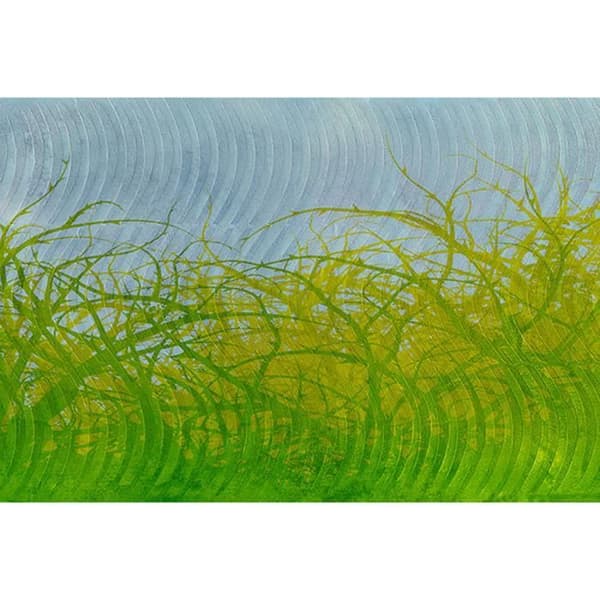 Grafisk fototapet M1-No.60304 - Tadessi - Digitaltryck - Grön - Gul - Natur