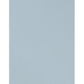 Miniatyrbild 3 av 4: vinyl expanderat 10080-26 non-woven enfärgad tapet 0.53 x 10.05 m Erismann Cyrill Beige