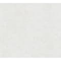 Miniatyrbild 3 av 3: A.S.Création Papier Mémoire 3 Plain Tapet 10,05 M X 0,53 M Beige Made IN Germany 116048 1160-48