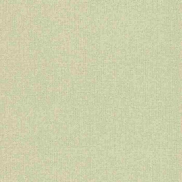 Rasch Andy Vägg 639667 non-woven tapet enfärgad 53cm x 1005cm grön