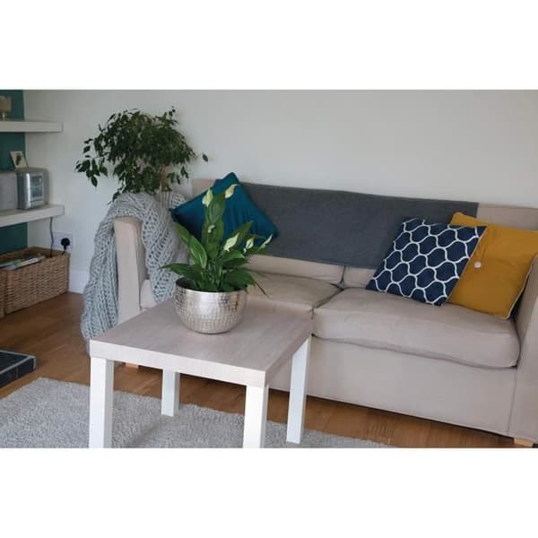 DC-FIX - Självhäftande rulle trä ek santana kalk 2,1mx90cm