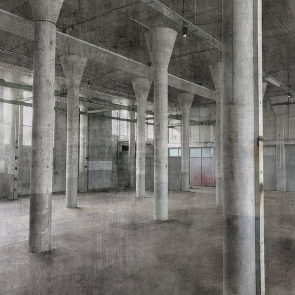 Tapet 429725 tapet mönster 250 x 300 cm Rasch Factory V grå