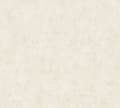 Miniatyrbild 2 av 5: A.S. Creation Terra 389224 Non-woven tapet en enfärgad 10.05 x 0.53 m Ecru