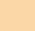 Miniatyrbild 4 av 6: enfärgad orange tapet non-woven 10,05 x 0,53 m