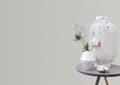 Miniatyrbild 3 av 4: Non-woven tapet 144017 non-woven tapet enfärgad 106 x 2500 cm Rasch Selection vit