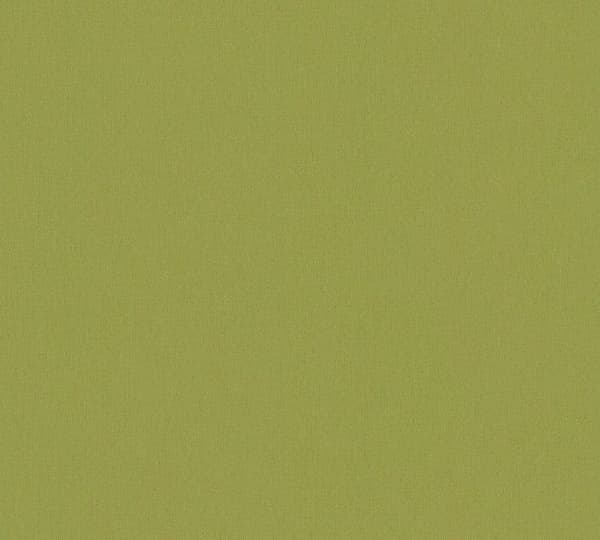 A.S. Creation Konst av Eden 377493 Non-woven tapet Enfärgad 10.05 x 0.53 m Grön