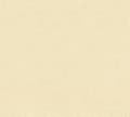 Miniatyrbild 2 av 5: A.S. Creation Smarta Ytor 395651 Non-woven tapet Enfärgad 0.53 x 10.05 m Beige
