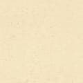 Miniatyrbild 2 av 6: non-woven tapet 520842 non-woven enfärgad tapet 53 x 1005 cm Rasch Factory V beige