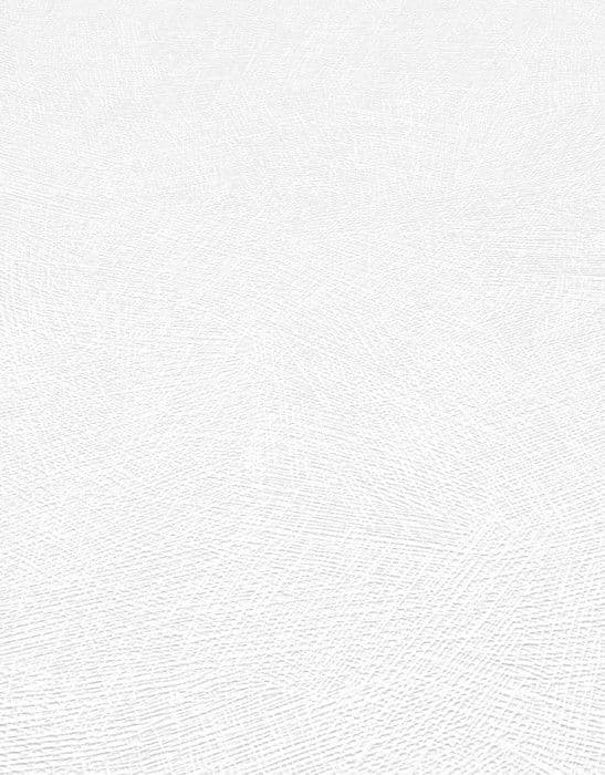Målbart tapet 13004-14 Non-woven enfärgat 1,06 x 25 m Erismann RollOver27 vit