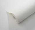 Miniatyrbild 3 av 4: vinyl expanderad 10463-14 non-woven tapet en enhetlig 0,53 x 10,05 m Erismann Opus kräm