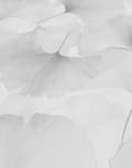 Miniatyrbild 4 av 4: Non-woven tapet 10470-31 Blommigt tapet 0,53 x 10,05 m Erismann Elysium Vit