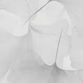 Miniatyrbild 1 av 4: Non-woven tapet 10470-31 Blommigt tapet 0,53 x 10,05 m Erismann Elysium Vit