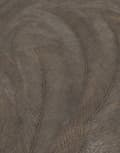 Miniatyrbild 4 av 4: Non-woven tapet 10476-47 Tapet Blommor Floral 0,53 x 10,05 m Erismann Elysium brun