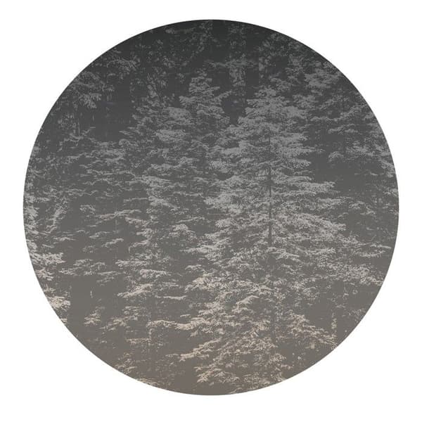 Fototapet 2553N-72 digitaltryck Natur Landskap 1,5 x 2,7 m Erismann Fashion for Walls digital Grå