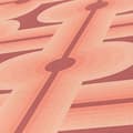 Miniatyrbild 5 av 5: Grafiskt Tapet M1-No.10914 Non-Woven Röd Orange Tadessi 8.50 m x 0.53 m