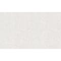 Miniatyrbild 2 av 4: non-woven tapet 143713 putsat tapet 106 x 2500 cm Rasch Selection vit